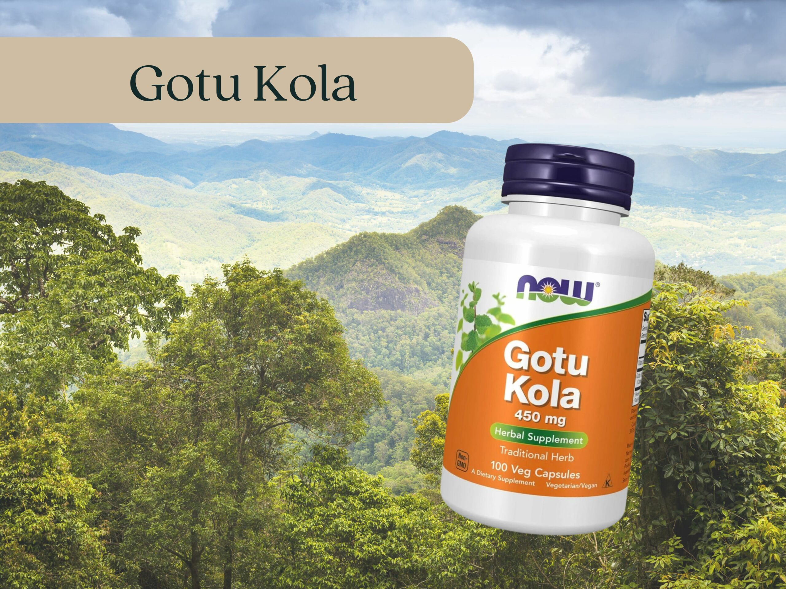 Gotu Kola