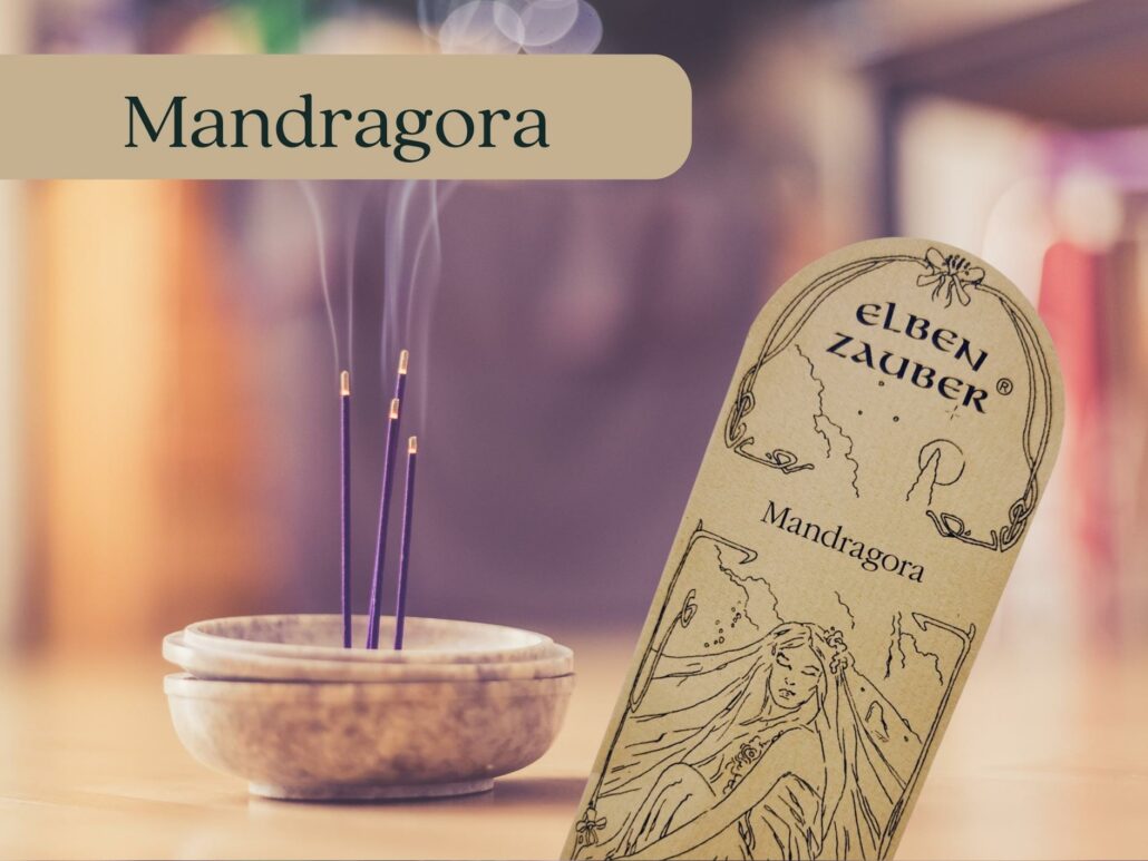 Mandragora - Elbenzauber
