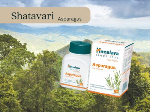 Shatavari